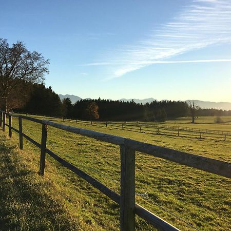 Ferienhaus Antdorfer Gartenglueck エクステリア 写真