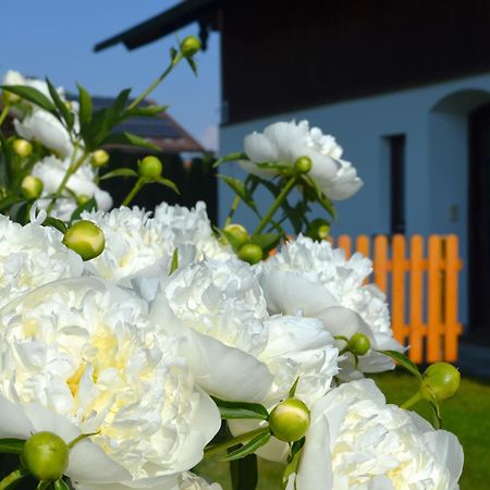 Ferienhaus Antdorfer Gartenglueck エクステリア 写真