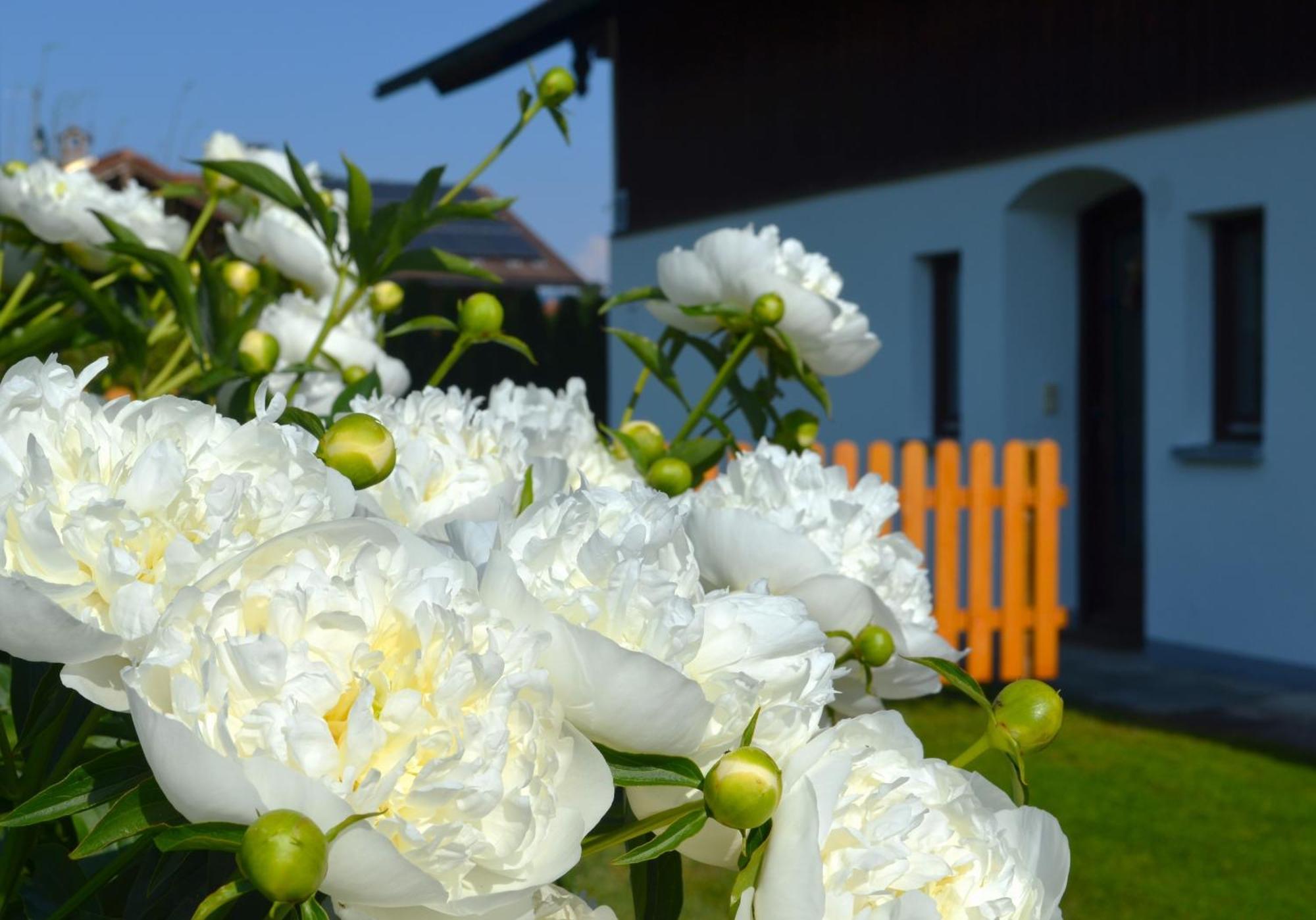 Ferienhaus Antdorfer Gartenglueck エクステリア 写真